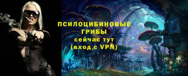 jwh Медногорск